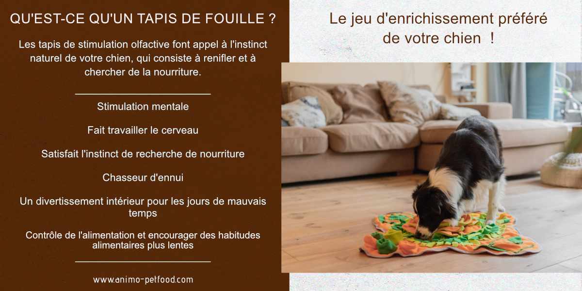 jouets-interactifs-pour-chien